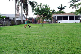 Enlarge photo 46