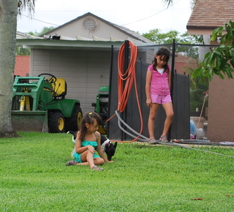 Enlarge photo 47
