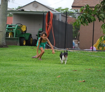 Enlarge photo 48