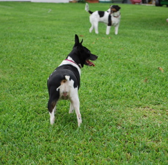 Enlarge photo 51