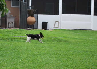 Enlarge photo 53