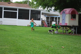 Enlarge photo 54