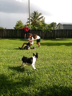 Enlarge photo 55
