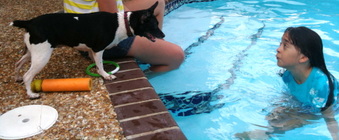 Enlarge photo 57