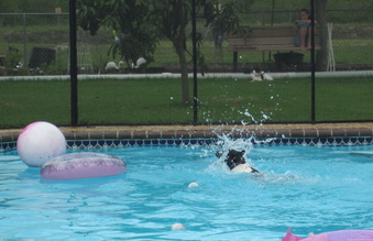 Enlarge photo 75