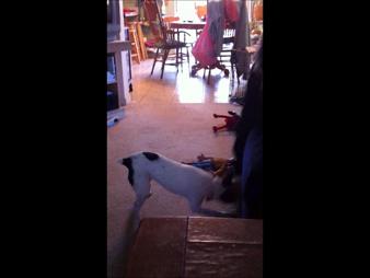 Enlarge WMV 7