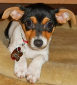 ADOPTED!  
