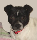 Odysseus