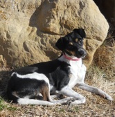 Maybelle