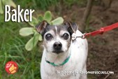 Baker