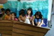 Enlarge photo 279