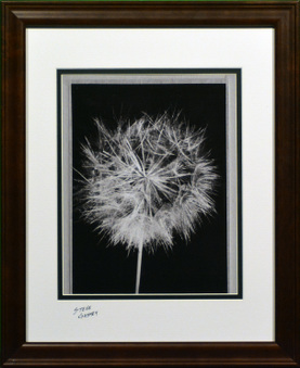 Enlarge photo 37