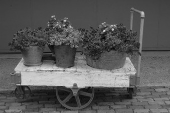 Enlarge photo 7