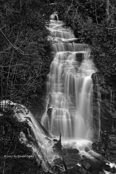 Enlarge photo 26
