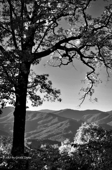 Enlarge photo 27
