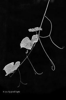 Enlarge photo 28
