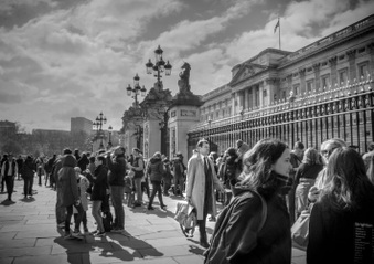 Enlarge photo 35