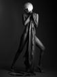 Enlarge photo 55
