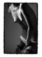 Enlarge photo 85