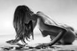 Enlarge photo 67