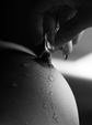 Enlarge photo 88