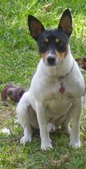 JR.