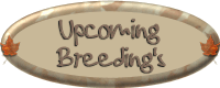 Upcoming Breedings