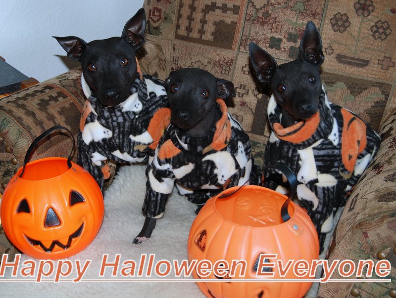 Happy Halloween