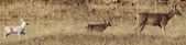 Enlarge photo 1