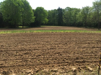 Enlarge photo 13