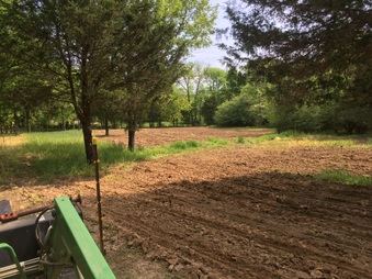Enlarge photo 12