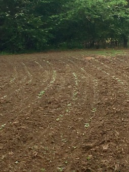 Enlarge photo 15