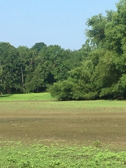 Enlarge photo 42