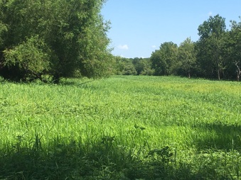 Enlarge photo 56