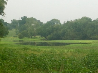 Enlarge photo 68