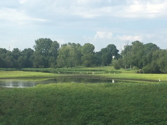 Enlarge photo 77