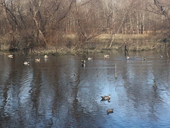 Enlarge photo 168