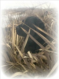 Enlarge photo 196