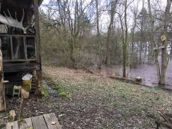Enlarge photo 198