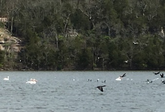 Enlarge photo 13