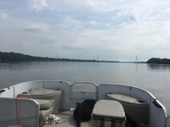 Enlarge photo 36