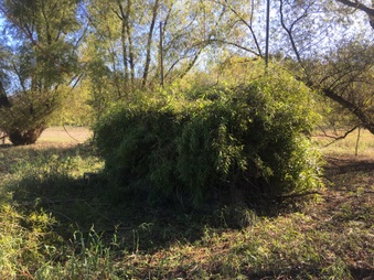 Enlarge photo 83