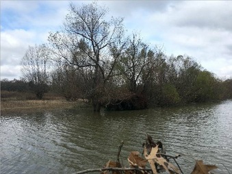 Enlarge photo 116