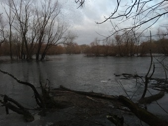 Enlarge photo 144