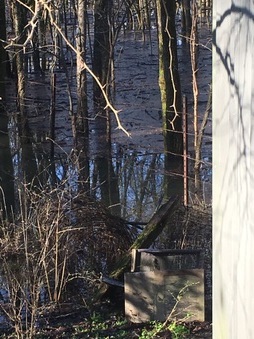 Enlarge photo 151