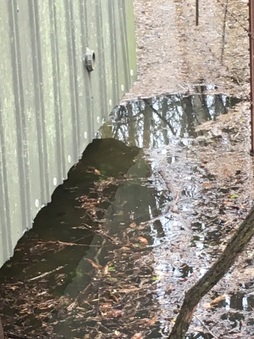 Enlarge photo 155