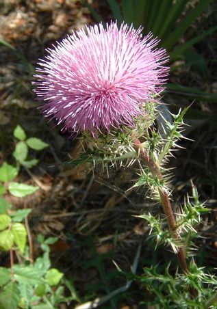 Enlarge photo 12