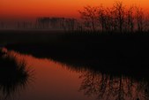 Bombay Hook, DE