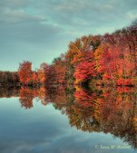 More from Delaware Water Gap