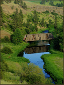 Scenes from the Palouse